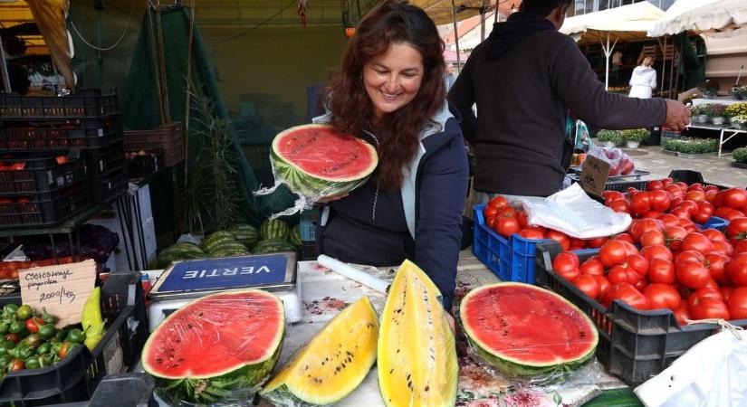 Szemet szúrt a szuloki dinnye és a somogyi vargánya a piacon