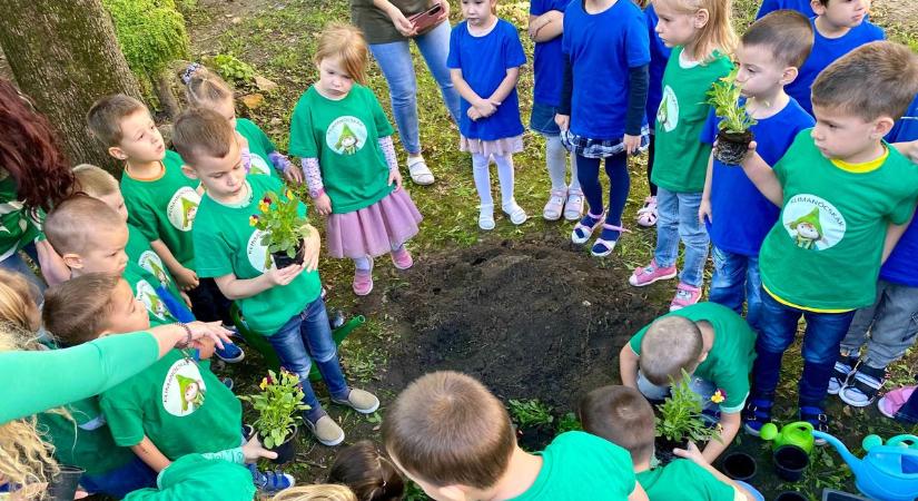 A Föld bajnokai közé választották a vásárhelyi Szabadság téri óvodát – videóval