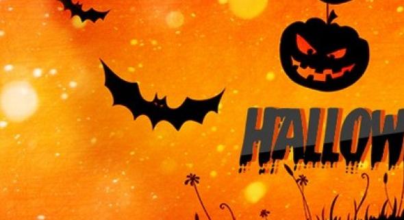 Halloween programokkal várja a látogatókat a Fővárosi Állatkert október végén