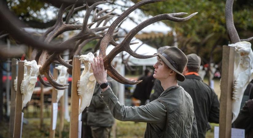 Gímszarvas trófeaszemlére gyűltek össze a vadászok a Mátrában