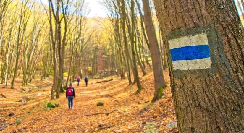 Kellemes kirándulóidőnek örülhetünk szombaton