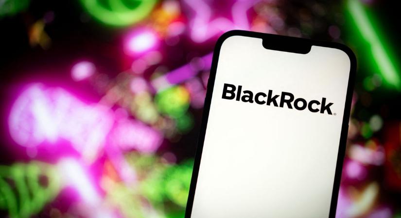 Hírhedt amerikai társág: elképesztő vagyont halmozott föl a BlackRock