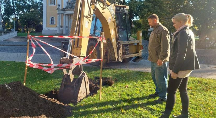 Több mint százhatvan facsemete díszíti majd a várost