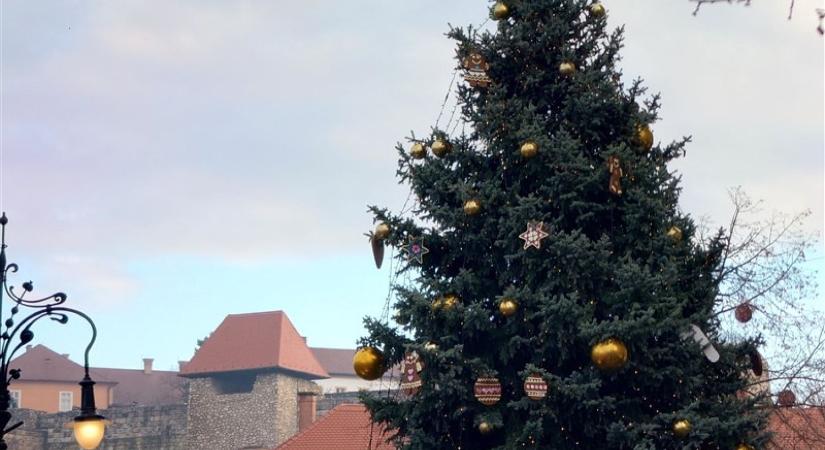 Eger karácsonyfája ismét kerestetik