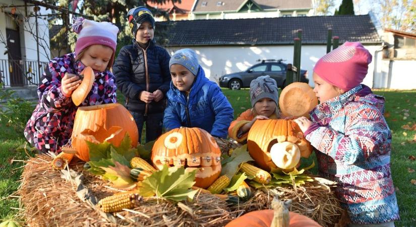 Finom ízekkel csábítanak a somogyi programok hétvégén