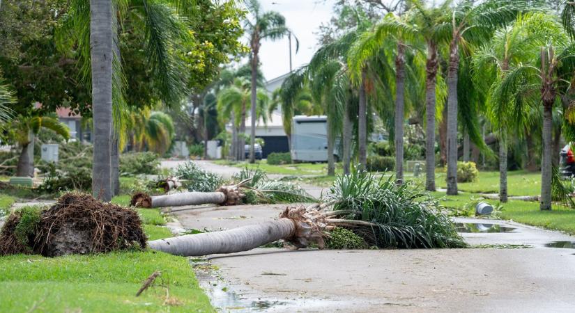 Folytatódik a mentés Floridában: tovább emelkedett a Milton hurrikán halálos áldozatainak száma