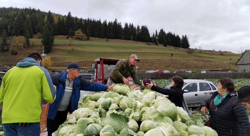 Vágják, adják, megünneplik – a 17. Szépvízi káposztavágáson és vásáron jártunk