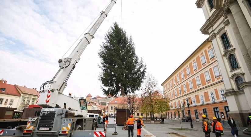 Már várják a felajánlásokat Eger karácsonyfájának