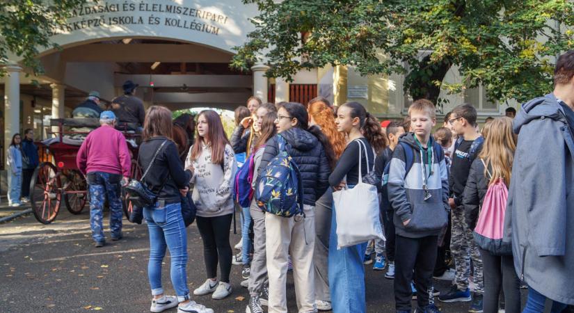 A pályaorientáció került a fókuszba Gyomaendrődön