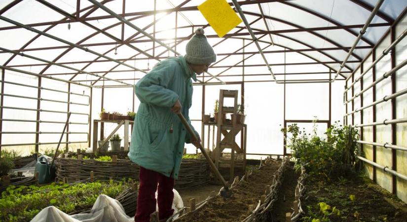 Felemás a magyar biopiac, bár nőtt átállított terület nagysága, az EU által elvárt szintet nehéz lesz teljesíteni