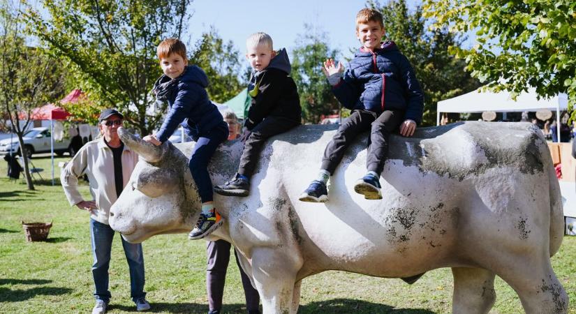 Majorsági nappal ünnepelték a 30 éves a Határtalan Nemzeti Parkot - fotók