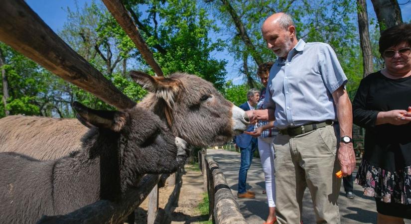 Kedvezményes jeggyel látogathatják a nyugdíjasok a Kecskeméti Vadaskertet