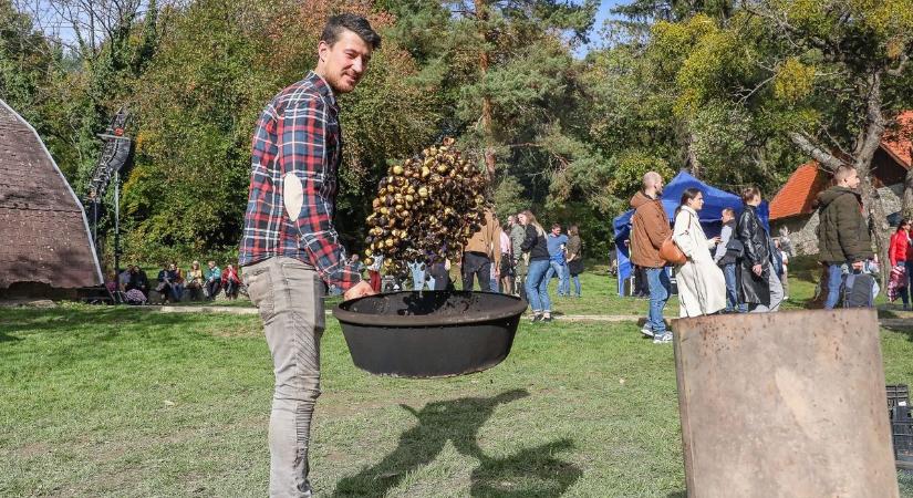 Tömegeket vonzott a gesztenye Velembe - videó, sok-sok fotó