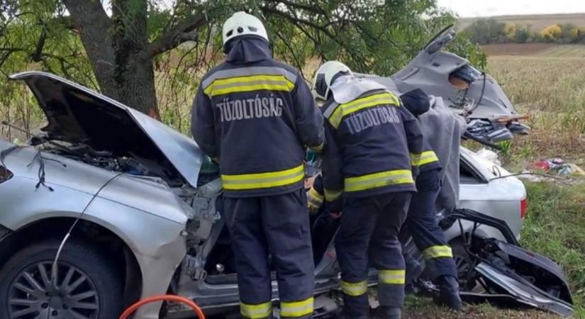 Családi tragédia! Hatalmas sebességgel a fának csapódott autójuk - Anya és fia is meghaltak