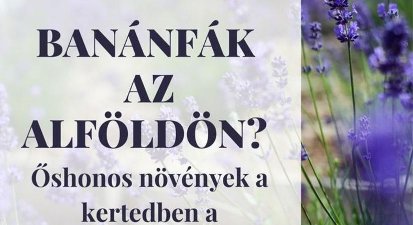 Banánfák az Alföldön? – Sirkó Zoltán előadással vár a könyvtárban