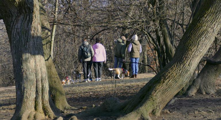 Kirándulóidőre számíthatunk a hétvége második felében is