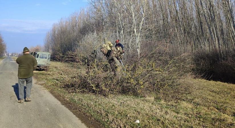 Eperfákat mentene a honismereti kör