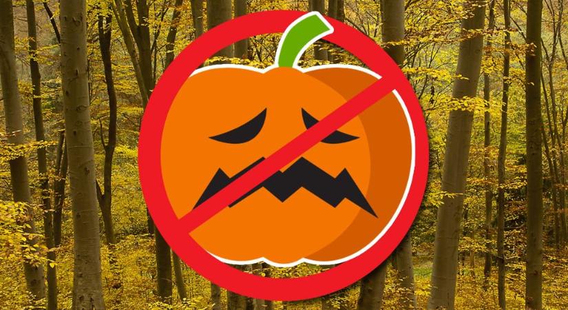 Elpusztulhatnak a vadak a kidobott Halloween-tököktől