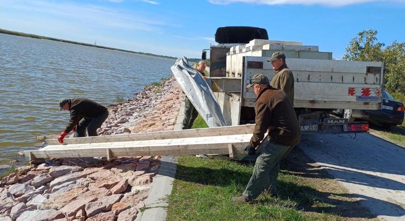 Hétfőn ismét többezer kiló pontyot telepítenek