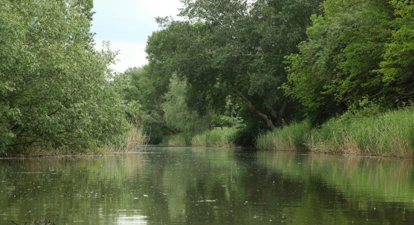 Milyen előnyökkel járna a Duna-Tisza-csatorna megépítése?