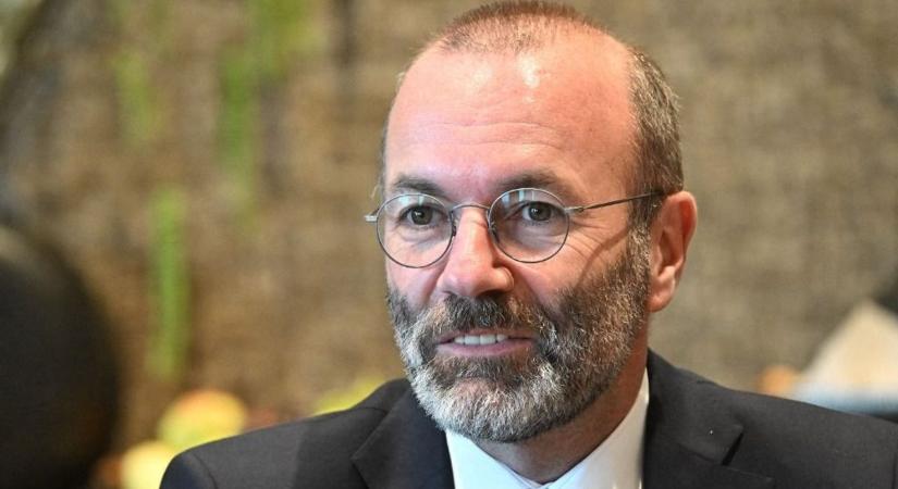 Bayer Zsolt megtalálta: ő Manfred Weber a Harry Potterben (VIDEÓ)