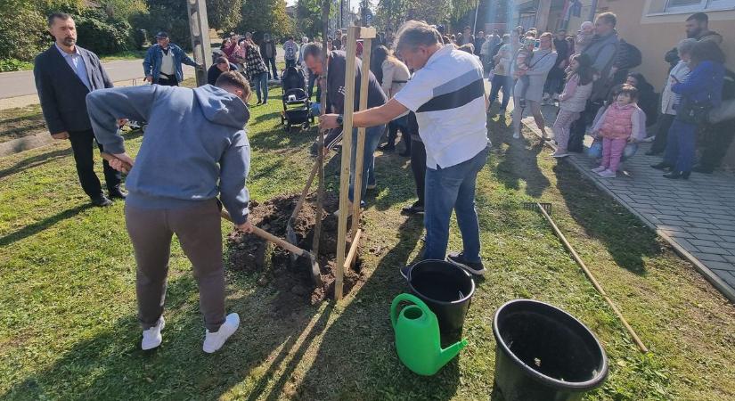 Ünnepnap: „Baba" fát ültettek a Váli-völgy szívében (videó!)