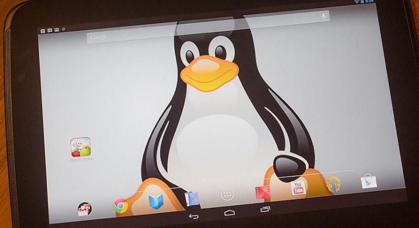 Linux alkalmazásokat is lehet majd futtatni az Androidon