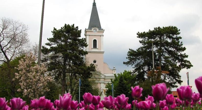 Mórahalom lesz az idei nemzetközi Békefutás első hazai állomása