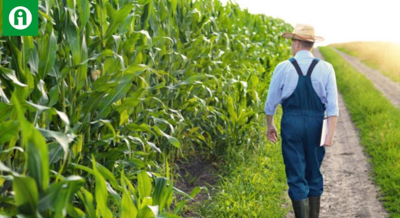 Ez lenne az agrárium Bermuda-háromszöge? Tényleg itt tűnik el a pénz?