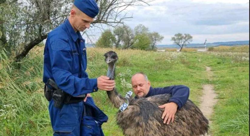 Emut fogtak a gárdonyi rendőrök