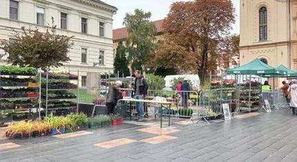 Ismét megrendezi az Őszi Növényvásárt a Biokom