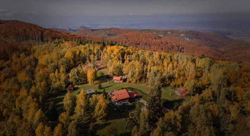 Irány az erdei Turistapark Szentlélek!