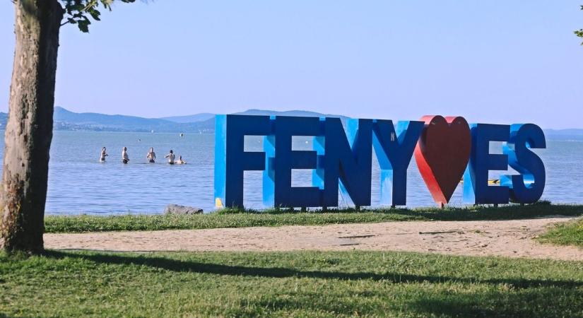 A vaddisznók is élnek-halnak a balatonfenyvesi strandért