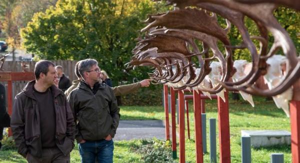 Ősi erdők titkos ízei kerülnek az asztalra az év utolsó zarándoklatán