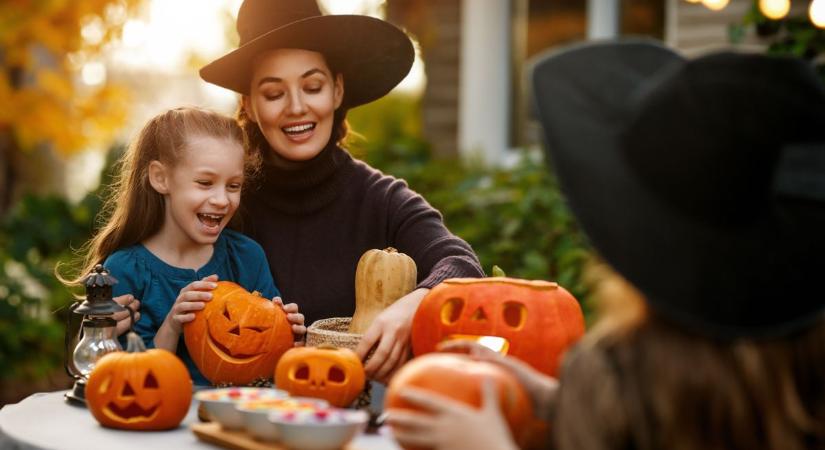 A kidobott halloween töktől elpusztulhatnak az erdei, mezei állatok