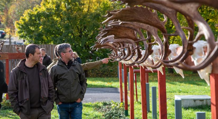 Vadételfőző-versennyel zárul a búcsúszezon a nemzeti kegyhelye