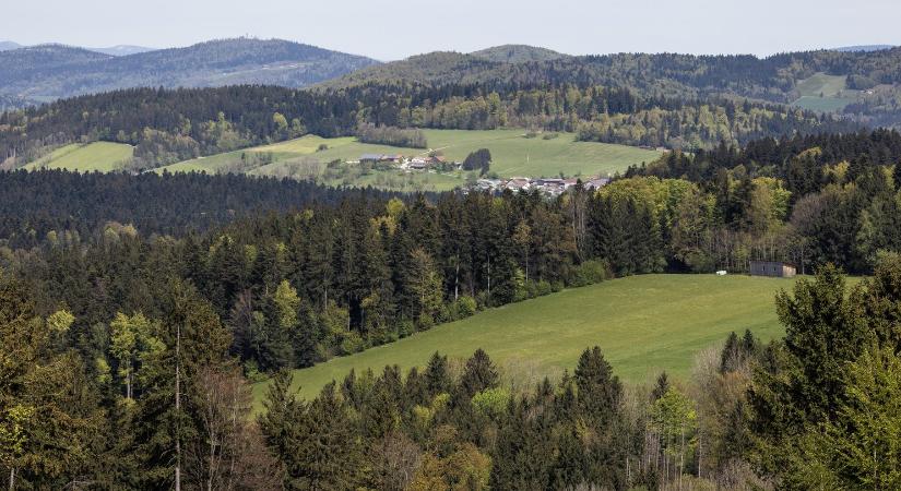 Bajorország átáll az éghajlatálló vegyes erdőkre