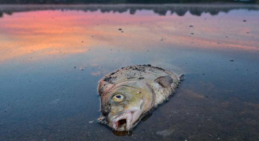 Lesújtó állapotban vannak Európa vizei