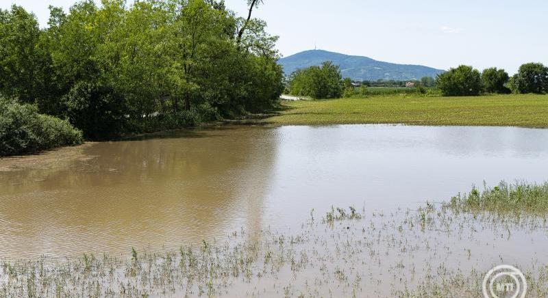 Az integrált vízgazdálkodást segítő magyar-szerb projekt indult a Tisza mentén