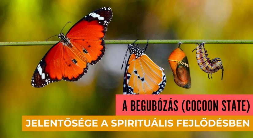 A begubózás (cocoon state) jelentősége a spirituális fejlődésben