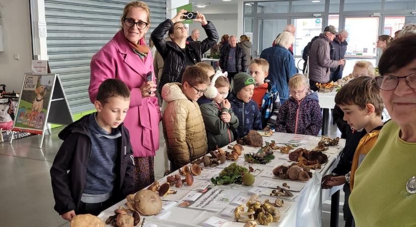 Hiszi vagy sem: a legmérgezőbb gomba – ehető!