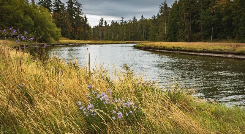 Így alakult folyóink vízszintje Bács-Kiskunnál