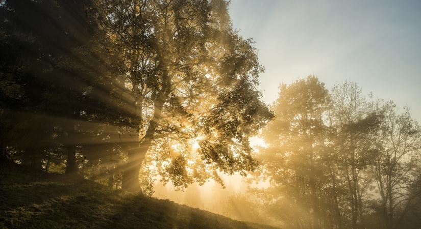 Orvosmeteo: így változik az időjárás az anticiklon hatására