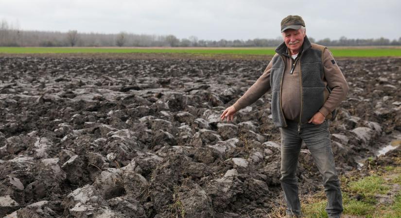 Kezdődik az agrártámogatások előlegfizetése