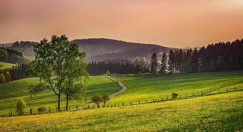 Utalják a mezőgazdasági támogatások előlegét