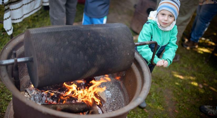 A gesztenye körül forgott a világ (galériával)