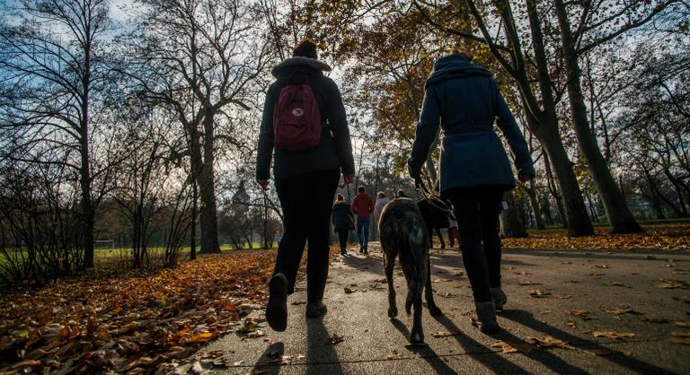 Hajnali mínuszok, délutáni tavasz – ez vár ránk csütörtökön