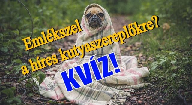 Kvíz: Emlékszel a híres kutyaszereplőkre?