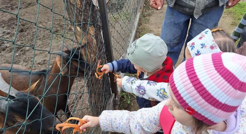 Így ünnepelte az Újkerti Manófalva Óvoda az Állatok Világnapját