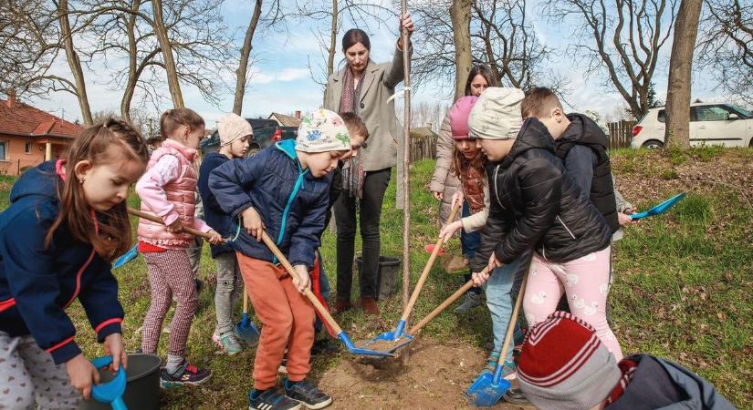 Érkeznek a fák a 17 baranyai településre